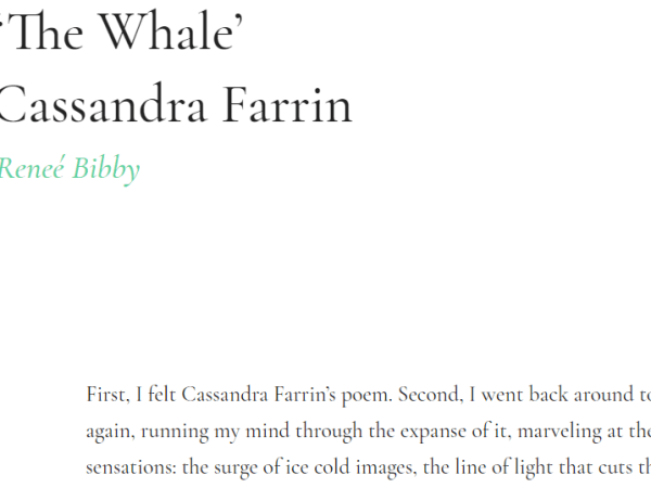 “The Whale” Reviewed in the&nbsp;Wilds